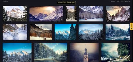 One promising alternative to the self-hosted site: Picfair