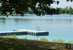 Echinger See, one summer morning…